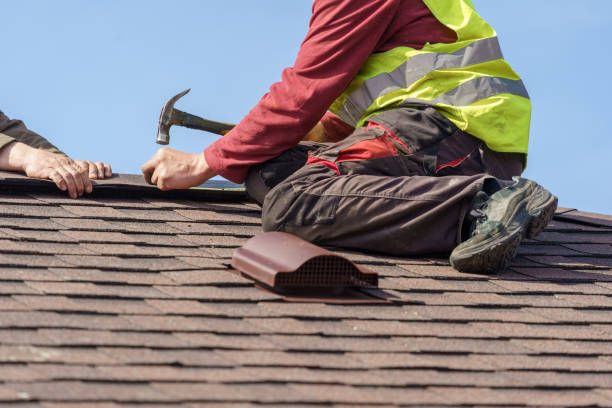 Best Local Roofing Companies  in Forest, OH