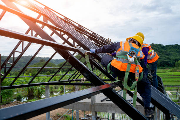 Best Roof Leak Repair  in Forest, OH