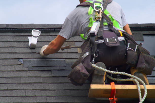 Best Flat Roof Repair Services  in Forest, OH