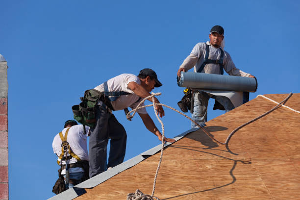 Best New Roof Installation  in Forest, OH