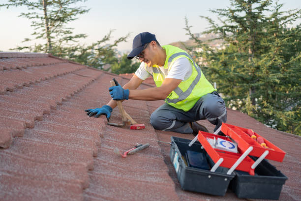 Best Best Roofing Contractors  in Forest, OH