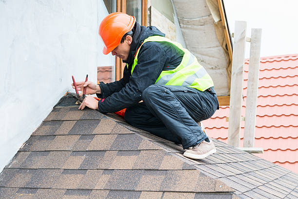 Best Roof Gutter Cleaning  in Forest, OH